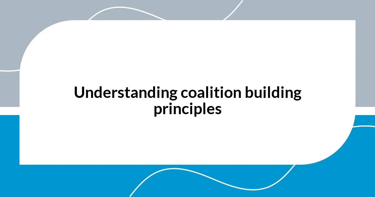 Understanding coalition building principles