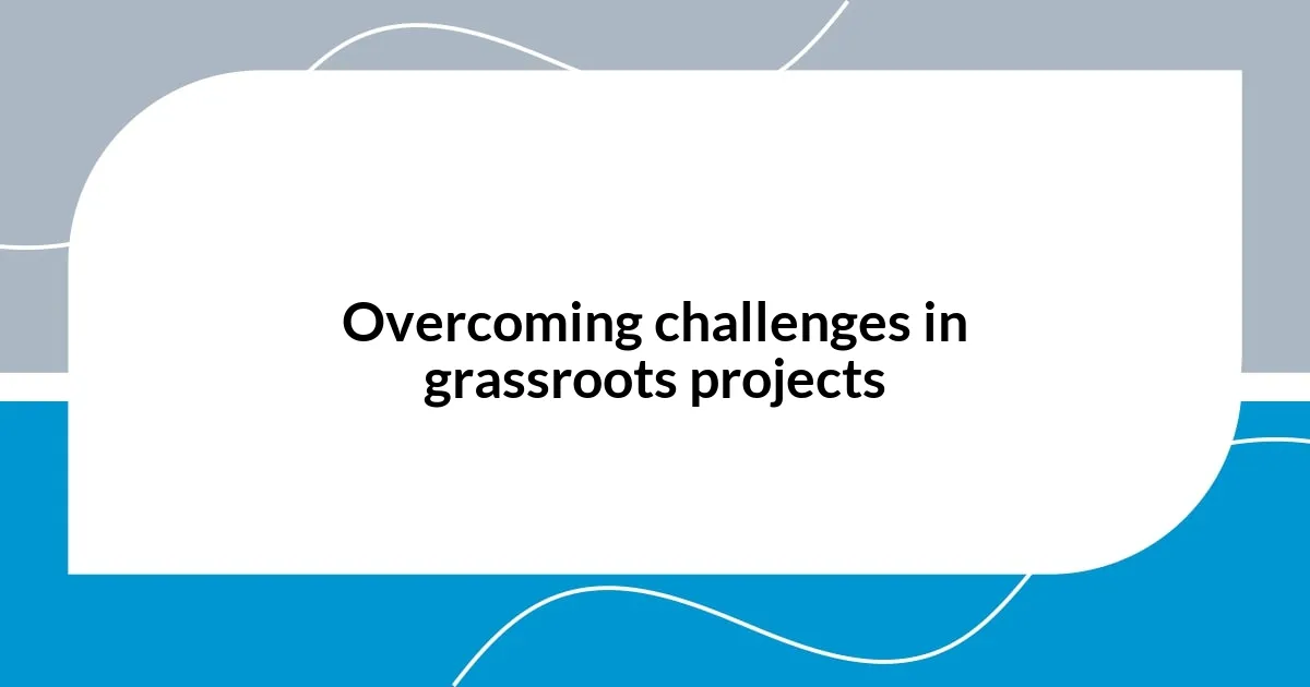 Overcoming challenges in grassroots projects