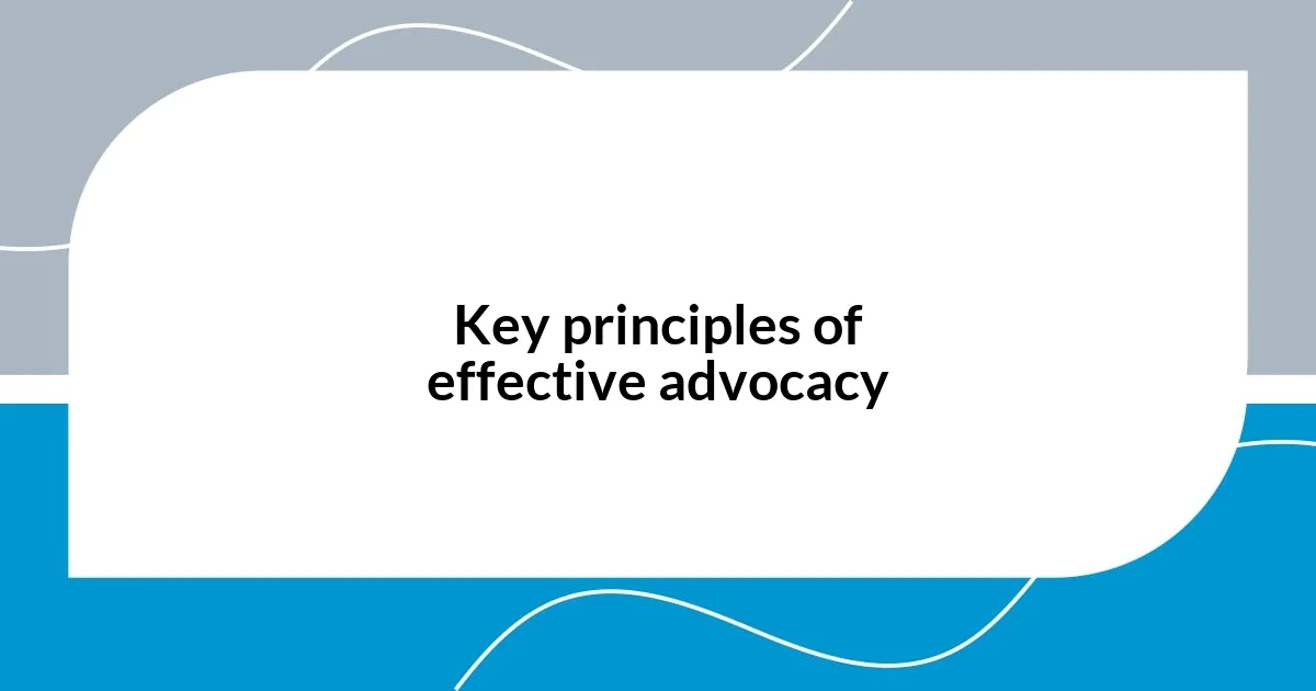 Key principles of effective advocacy